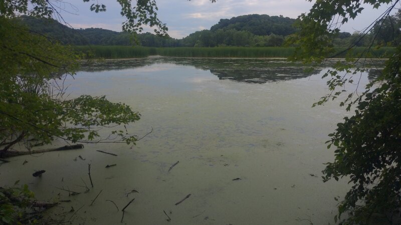 Trail follows the waters edge for a little.