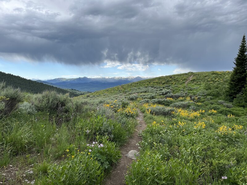 Hiking west on Josie's Ridge.