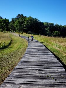 A boardwalk forms part of the Red River Oxcart Trail.
