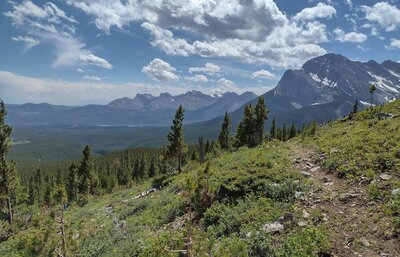 As the trail climbs in forest and meadows, the beautiful Crowsnest valley is seen to the south.