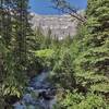 Dutch Creek headwaters below the Great Divide, the ridge line of the rock wall in the background.