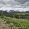 With rugged mountains as the backdrop, the fire road style trail runs through meadows and forested hills near Coleman.