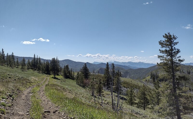 Great views of the forested hills and mountains to the northeast, from high on Willoughby Ridge.