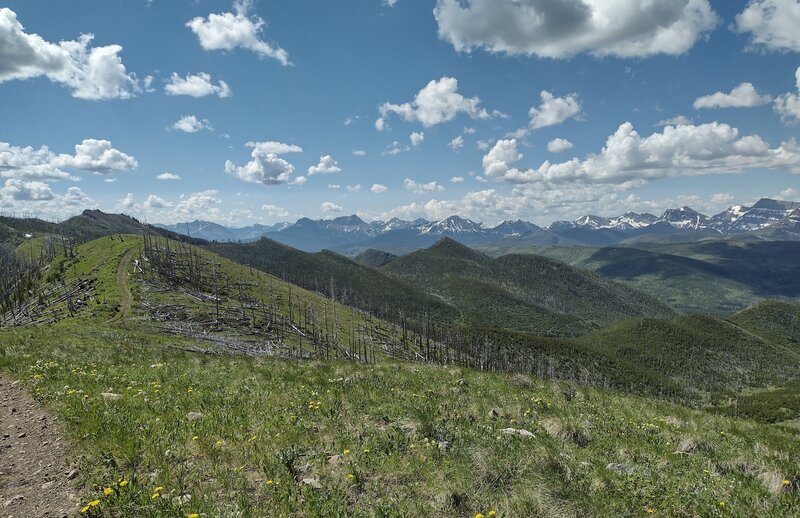 Hard to beat the views of mountains and forested hills that go on forever. This is what it's like to hike Willoughby Ridge on a glorious Canada Day day.