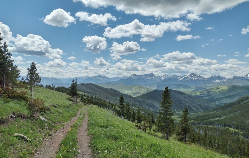 Grassy Willoughby Ridge with outstanding views of the forested hills and mountains in all directions (looking southwest here).