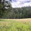 Beautiful meadow at the bottom of Pine Flat Trail.