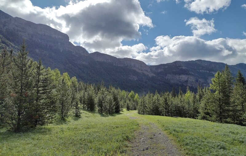 Looking up at Barnaby Ridge to the east and southeast from West Castle Valley Trail.