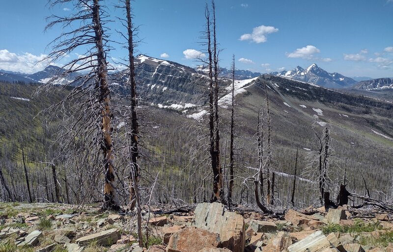 Directly to the south, Sage Pass, on the Great Divide, is the saddle in the center. The Great Divide continues south on the ridge climbing right, then left from Sage Pass.