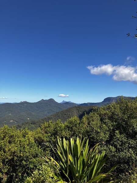 From Bally Mt Summit looking back towards Mt Warning.