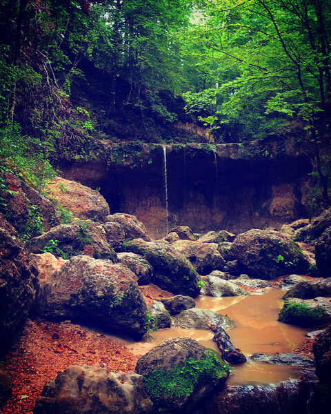 Waterfall #3 at Clark's Creek Woodville, Mississippi. Well worth the hike! ❤️