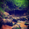 Waterfall #3 at Clark's Creek Woodville, Mississippi. Well worth the hike! ❤️