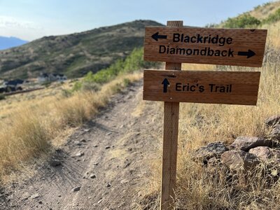 End of the line…..?