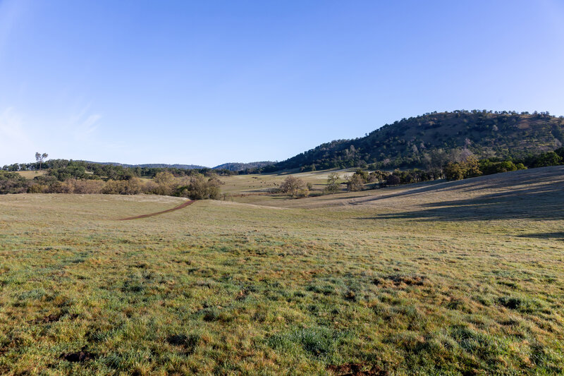 Rolling hills south of Spenceville Road