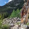 The view back down towards Baker's Gulch.