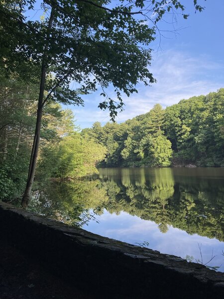 Case Pond from the Lower Carriage Path.