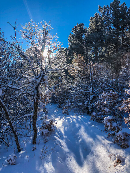 Breaking trail.