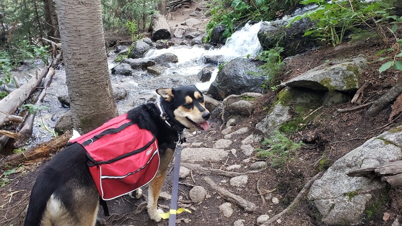 Stream crossing