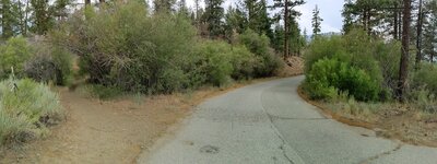 Access road with the trail emerging on both sides.