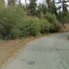 Access road with the trail emerging on both sides.