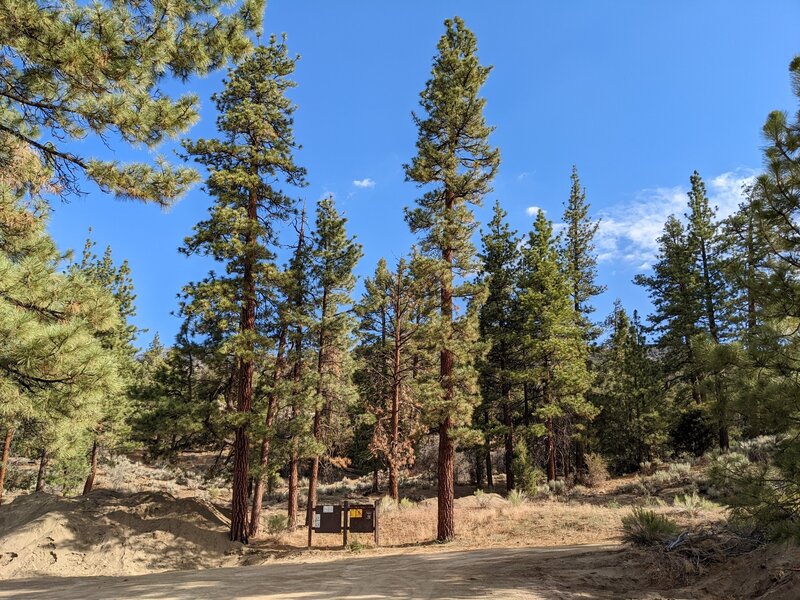 Wildhorse Creek Trailhead