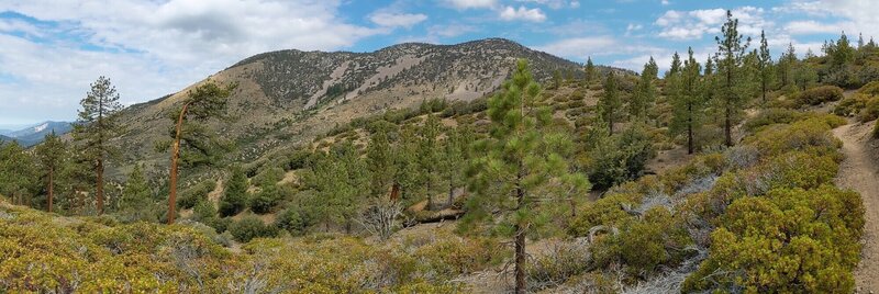 Near the top before descending into Wildhorse Camp.