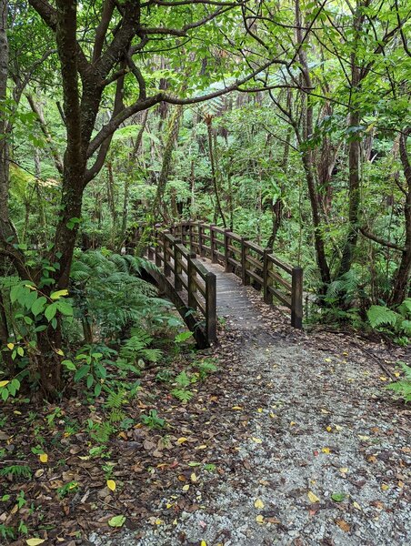 Bridge crossing the river along the Fukugawa Falls Trail.