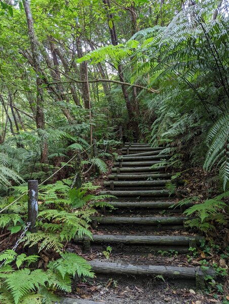 Steps leading up from the picnic spot to the Fukugawa Falls.