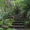 Steps leading up from the picnic spot to the Fukugawa Falls.