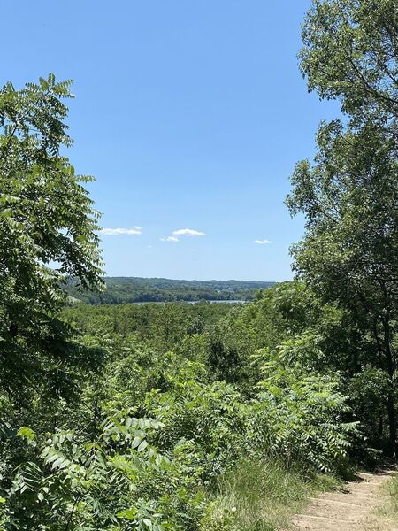 View of white water lake from trail.