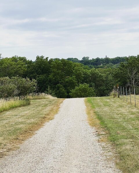 MHI trail-facing south.