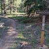 Entrance to North Elk Trail from Bulging Bulging Elk Trail/Elk Falls Pond Loop.