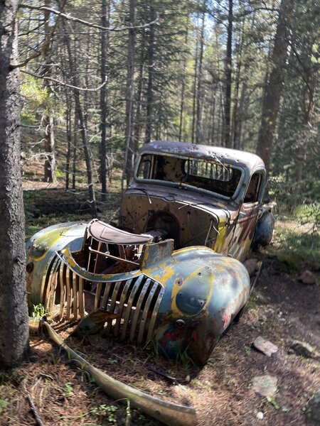 I'd love to know the story about this car and how it ended up to be in the middle of a forest!