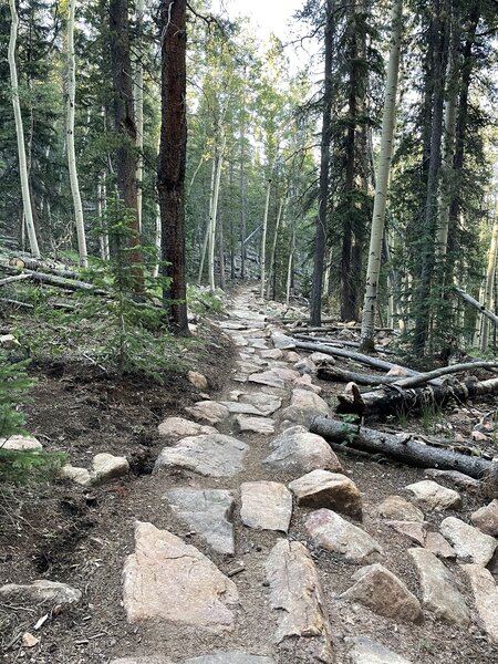 Check out this man mad rock sidewalk on the Rusty Buckle Trail! Think of the effort it took to put this together! So cool.