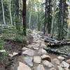 Check out this man mad rock sidewalk on the Rusty Buckle Trail! Think of the effort it took to put this together! So cool.