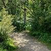 Trail sign hidden after parking lot - unclear where trail is after arriving from G-Lot spur.