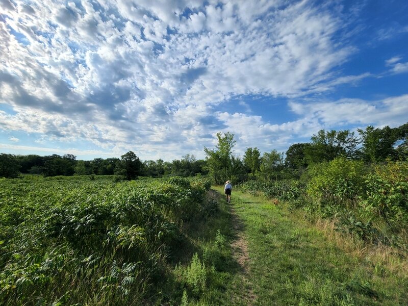 Heading south on the Mazomani Trail.