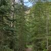 Nearing Eaton Falls, the cliffs that the falls drop over are seen through the trees.