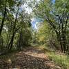 Quiet hike along the old pavement of Baldwin Drive trail in late summer.