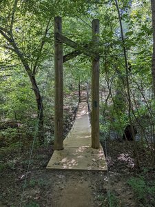 One of the suspension bridges on the Blue Star trail in the Anne Springs Close Greenway.