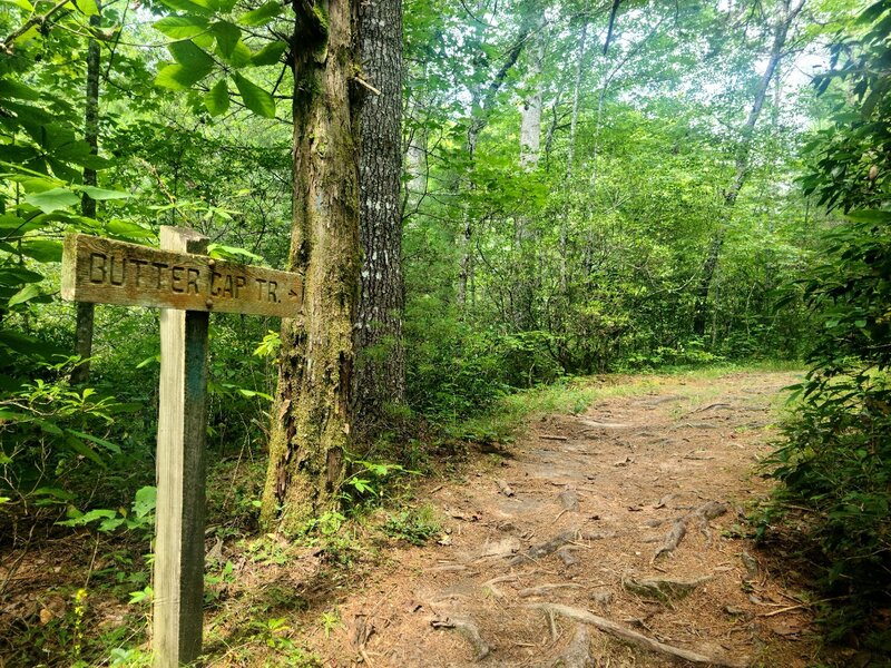 Butter Gap Trailhead.