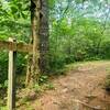 Butter Gap Trailhead.