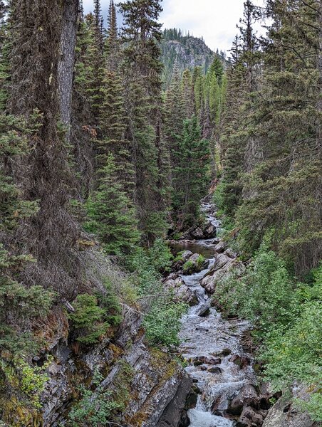 Upper reaches of Rattlesnake Creek, bridge crossing.