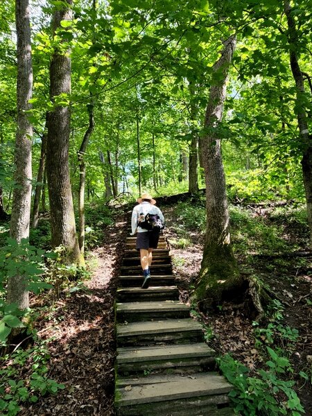 Starting up the stairs from the Y.