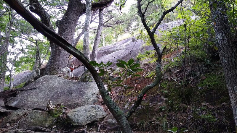 Approaching the class 3 slab.