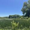 I wide prairie view when out in the open during a paved road crossing after lots of tree cover.