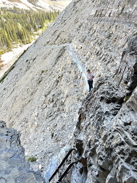 On the ledge just before the ladder leading to the tunnel.