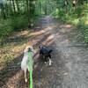 Nice wide groomed trails. The dogs loved it.