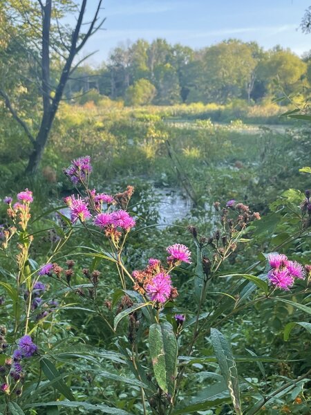 About an hour after sunrise on a September day.