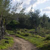 Bermuda Railway Trail South of Bailey Bay