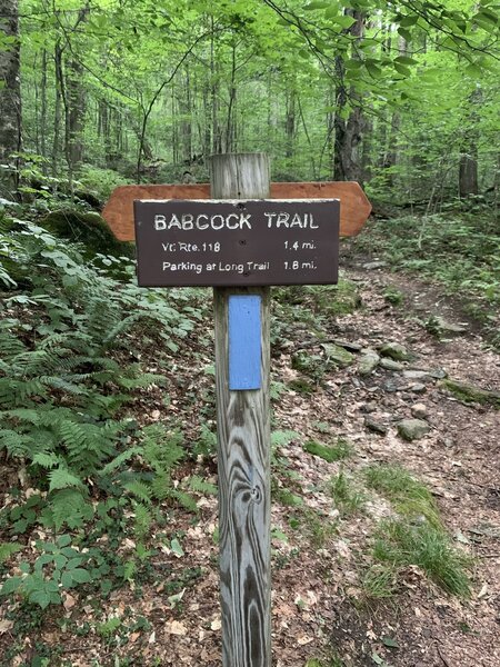 Trail sign at southern junction of Babcock Trail & Long Trail near Devil's Gulch.